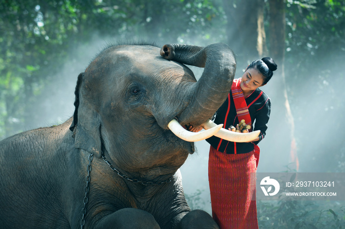 美丽的年轻泰国女人东北风格是喜欢在丛林中跳舞和玩大象