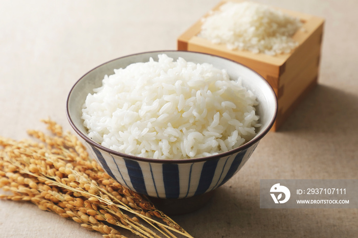 茶碗に盛った白米　Japanese white rice