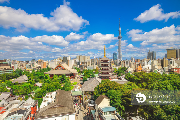 东京市与日本的感应寺鸟瞰图