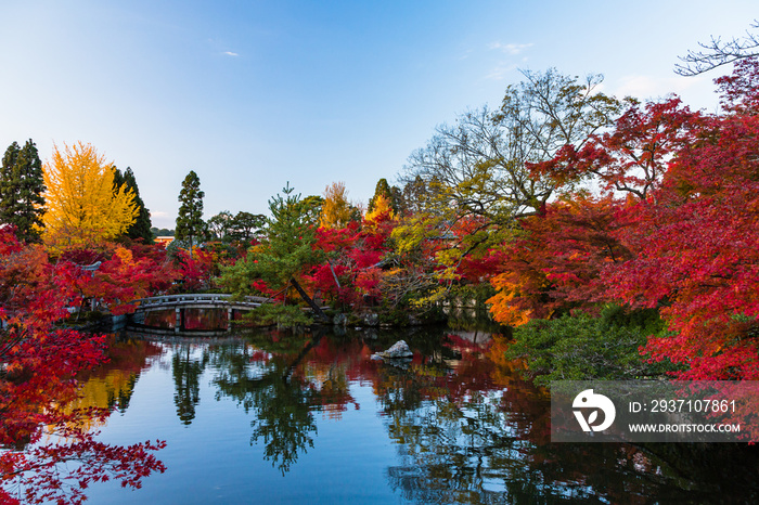 日本　京都、永観堂の放生池と紅葉