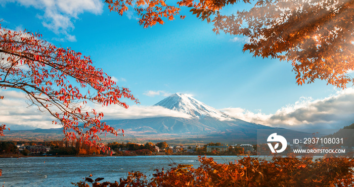 日本秋色富士山