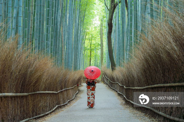 一名身穿日本传统和服的亚洲妇女在旅游假期站在竹林中