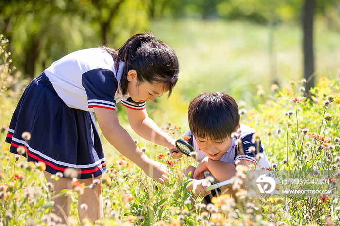 快乐的小学生在户外探索自然