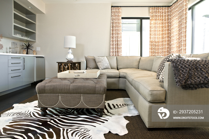 Animal print area rug in contemporary living room; California; United States of America