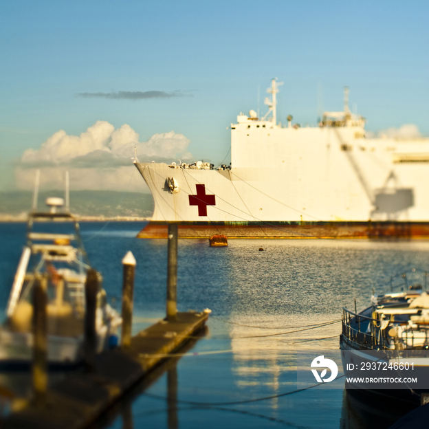 Medical Ship at Port