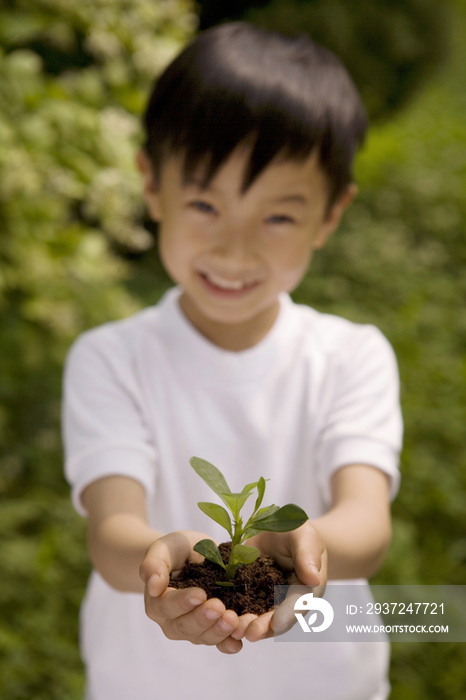 小男孩和植物