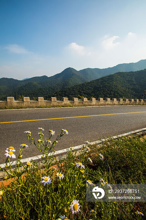 公路美景