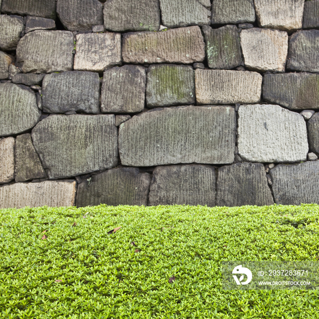 Stone wall and hedge, Imperial Palace, Tokyo, Japan
