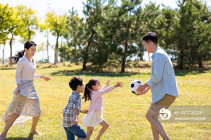快乐的年轻家庭在草地上玩耍