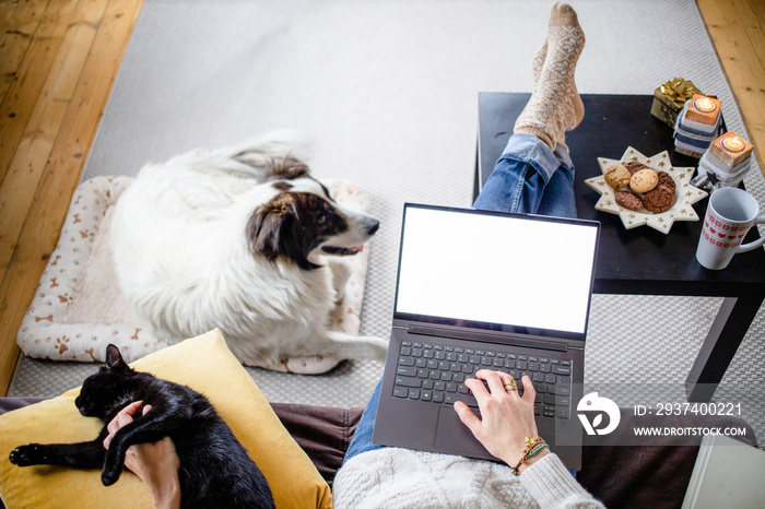 woman at home with dog hygge at Christmas time