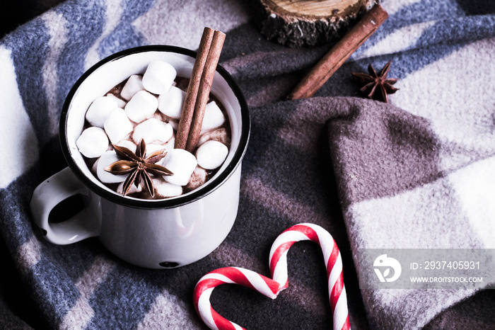 Hot cocoa with marshmallows with spices on the cozy blanket. Coffee, cocoa, chocolate, cinnamon, can