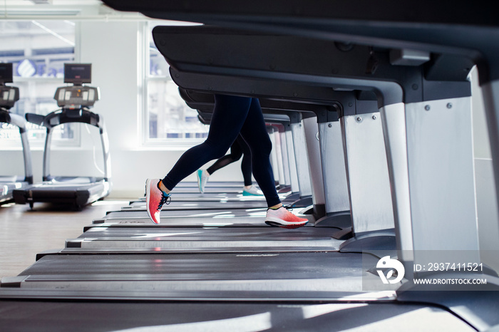 Low section of female athletes running on treadmills in gym