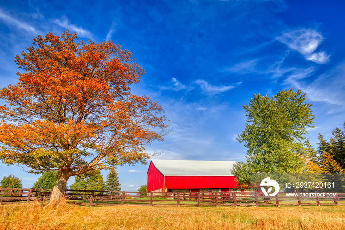 Typical Canadian Countryside in Ontario