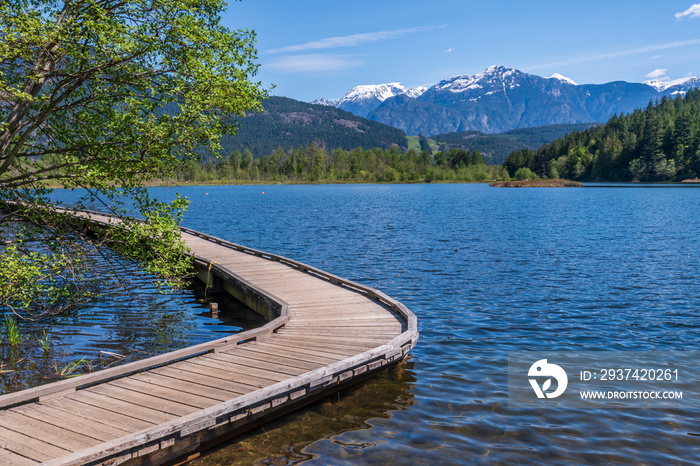在公园和湖泊的Wooden Trail欣赏风景。加拿大温哥华。