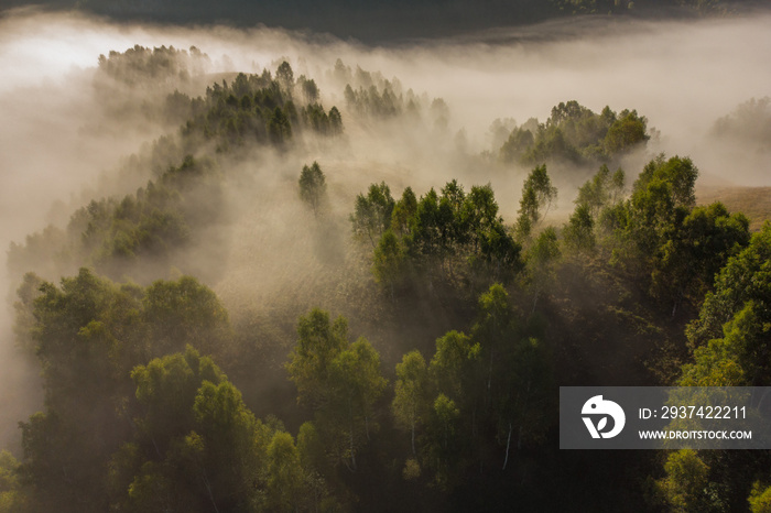 Aerial view of mountain landscape with morning fog, at the forest edge, in Romania