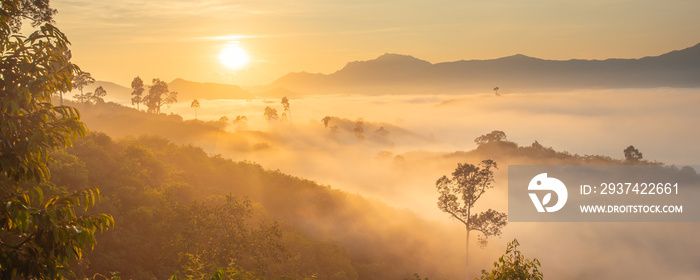 Panorama of Beautiful scenery landscape sunlight in the morning sunrise above flowing fog waves on m