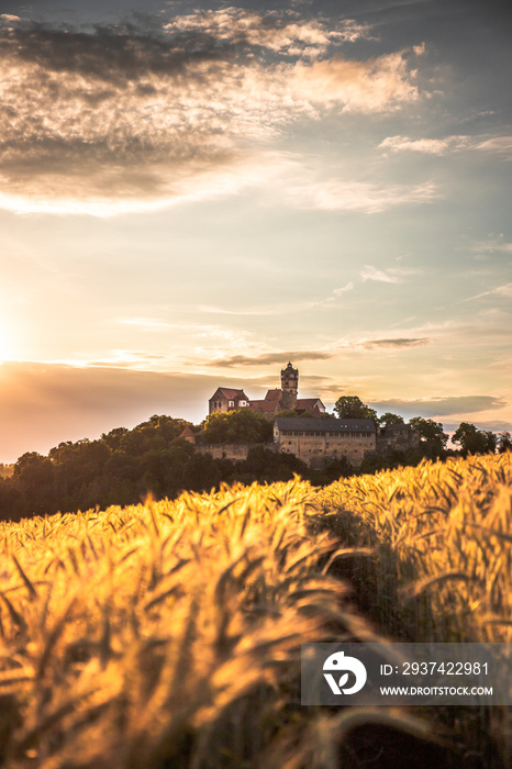 Wheat field in the sunset. Paths lead to a castle. The Ronneburg in a beautiful landscape on the edg