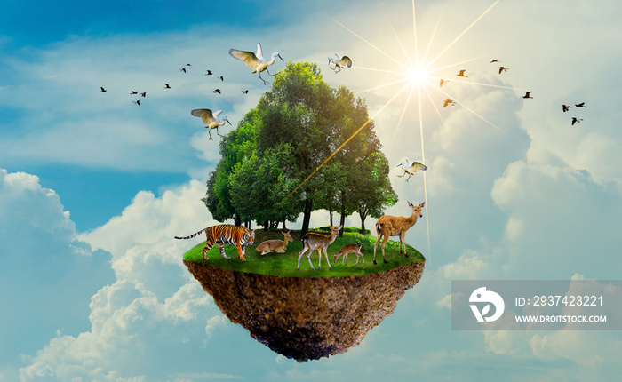 森林树木野生动物老虎鹿鸟岛漂浮在空中世界环境日世界自然保护协会