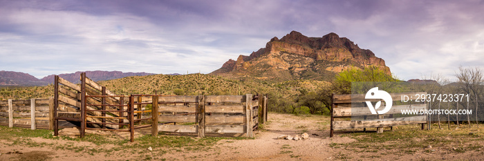 Arizona Landscapes