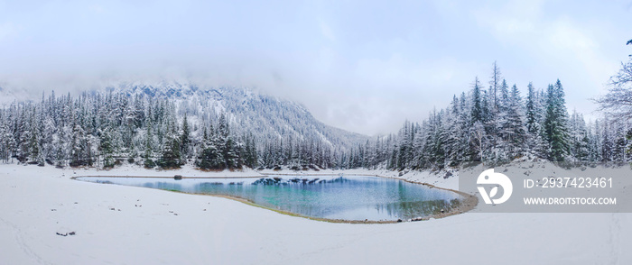 令人惊叹的冬季景观，雪山和碧湖（Gruner see）的清澈水域，以