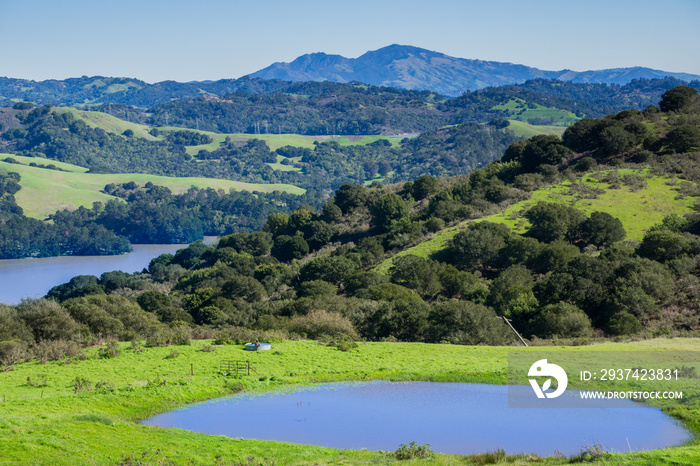 Hills and meadows in Wildcat Canyon Regional Park; San Pablo Reservoir; Mount Diablo in the backgrou