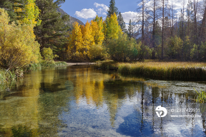 Fall colors landscape in the Eastern Sierra Nevada, California, showing a lake and reflections.