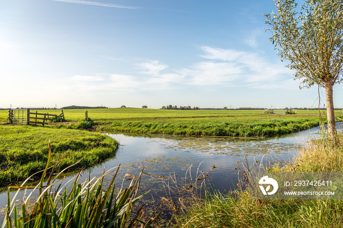 Characteristic agricultural polder landscape in the Alblasserwaard region in the Dutch province of S