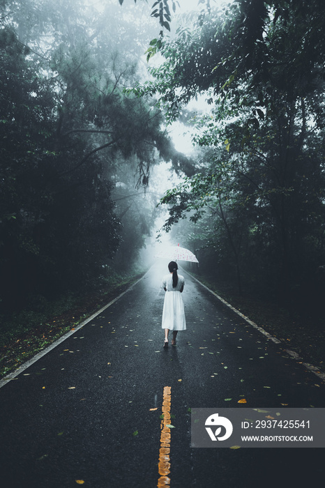 雨季通往森林的道路