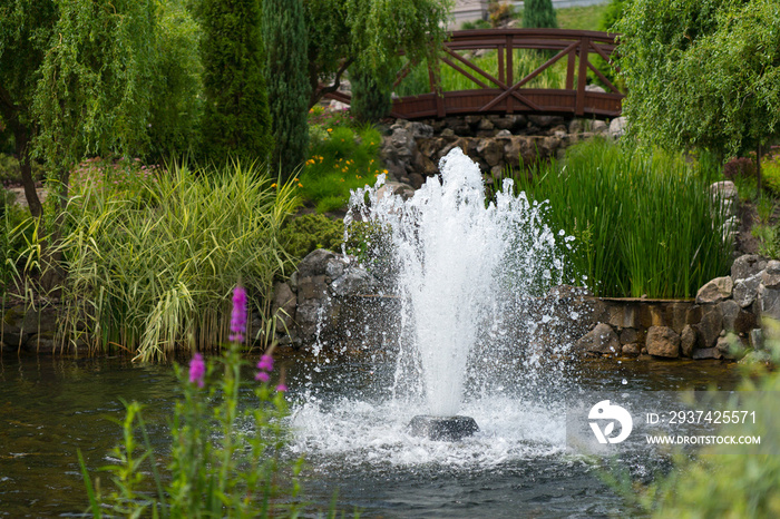 带池塘和喷泉的户外景观花园
