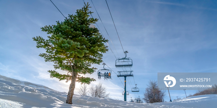 公园城滑雪场的冬日美景