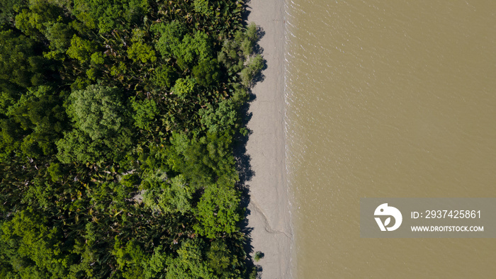 Aerial top down view of riverbank forest