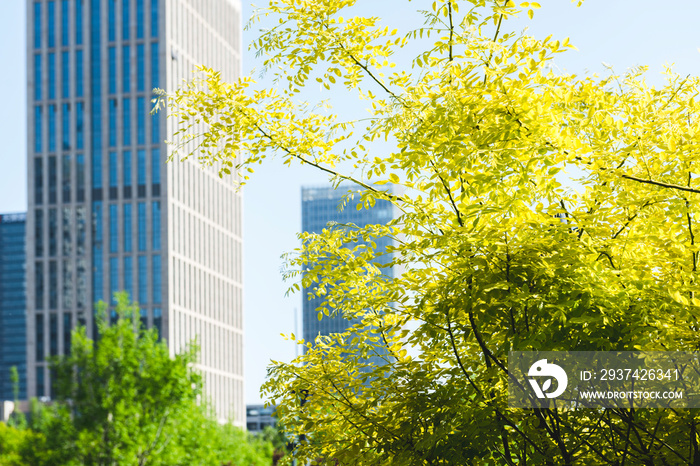 城市景观智能建筑，手持智能手机建设，打造绿色城市。