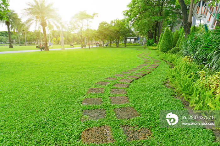 绿草草坪院子上的垫脚石人行道图案