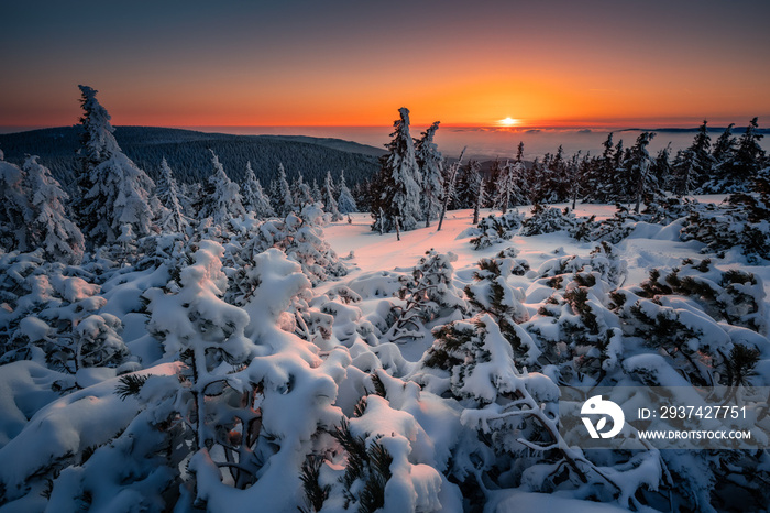 Beautiful  winter landscape and sky on mountains. Pure nature around Jeseníky - Czech Republic - Eur