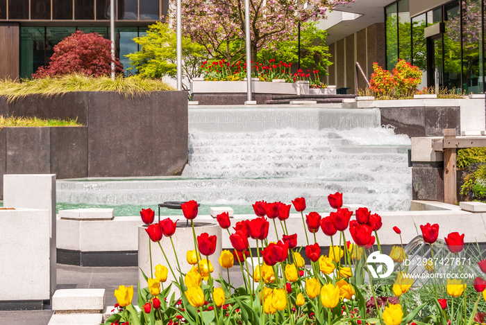 Spring cityscape with flowers and plant landscape in Vancouver, British Columbia, Canada.