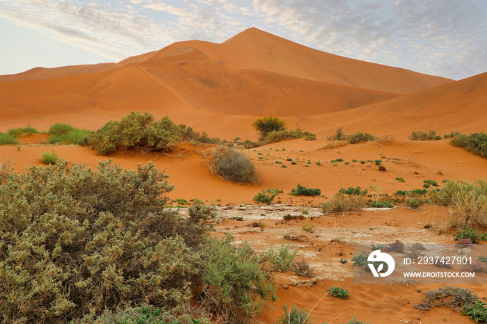 Sossuvlei（Namib Naukluft公园）-纳米比亚-非洲