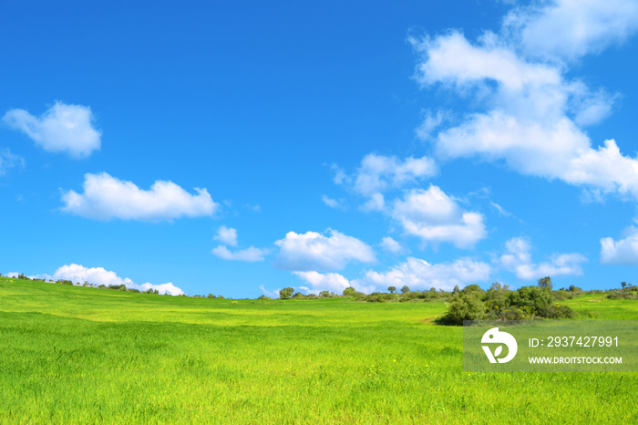 Bella prateria verde con cielo azzurro e nuvole - pianeta verde