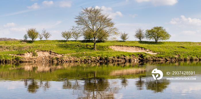 Trees on the banks of the River Ribble