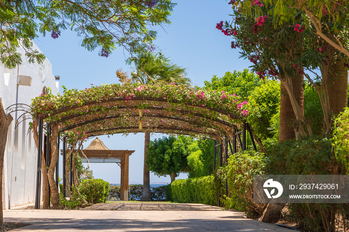 Parking for a car in the yard near the house in the form of an arch with garden flowers, Sharm El Sh