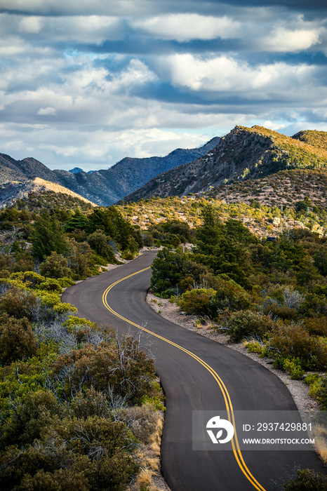 亚利桑那州奇里卡瓦山脉的一条道路