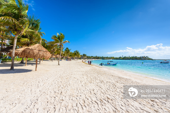 Akumal beach - paradise bay  Beach in Quintana Roo, Mexico - caribbean coast