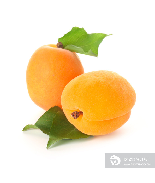 Tasty ripe apricots on white background