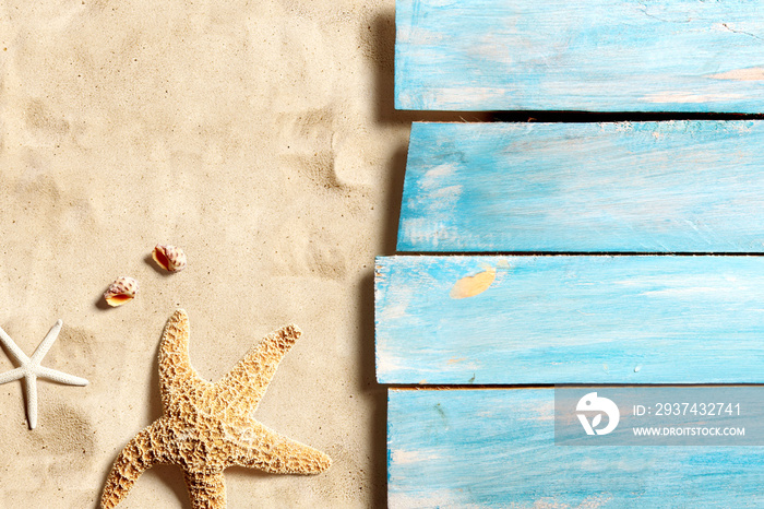 Marine life on blue wooden boards on the sand beach