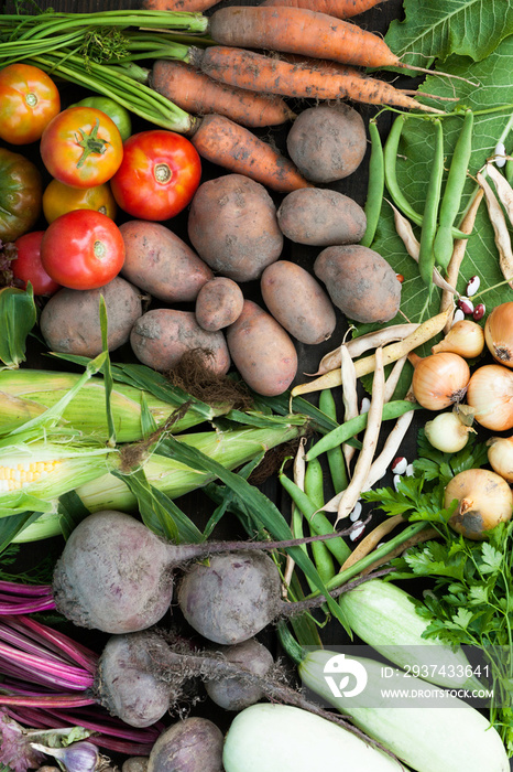 新鲜营养有机蔬菜背景。可持续农业市场。