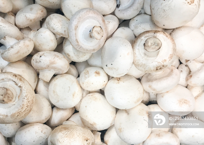 Close-Up Of Fresh Mushrooms Champignons. Healthy Fresh Food Background.