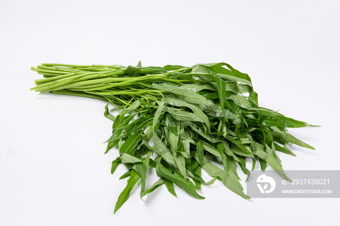 Closeup shot of water spinach isolated on white background