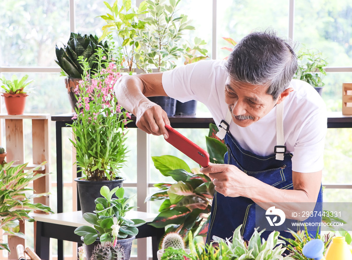 活跃的亚洲老年男性园丁站在室内植物店，戴着围兜为自己拍照