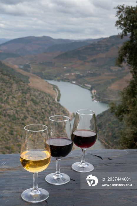 品尝葡萄牙强化港口葡萄酒，产于杜罗河谷，有杜罗河和五颜六色的te