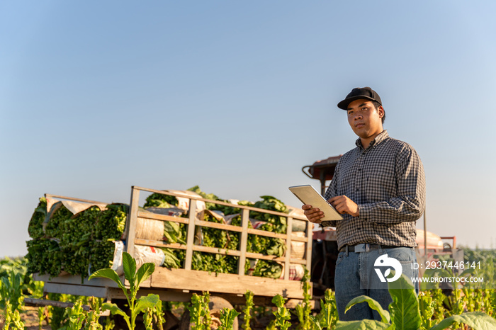 Agriculture, Farmer holding a tablet sees the future of utilizing the Internet to improve the produc