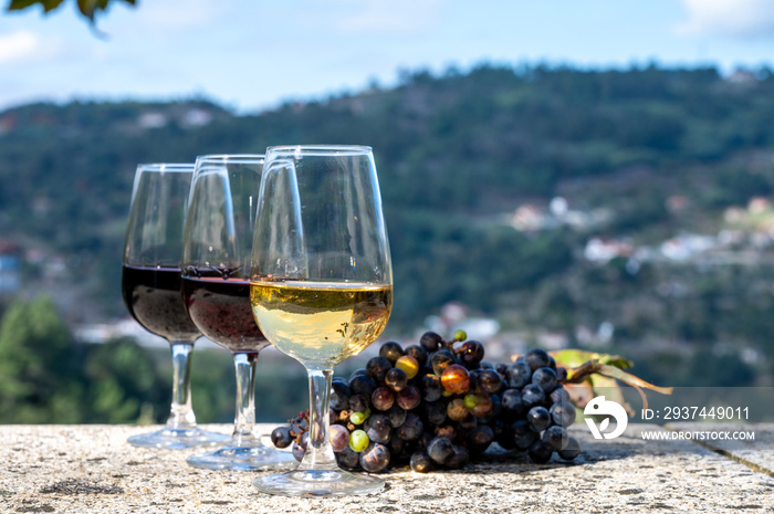 Outdoor tasting of different fortified port wines in glasses in sunny autumn, Douro river Valley, Po